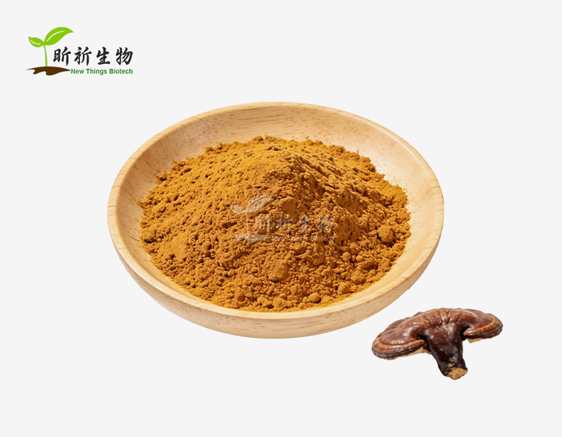 Reishi Mushroom Powder Bulk